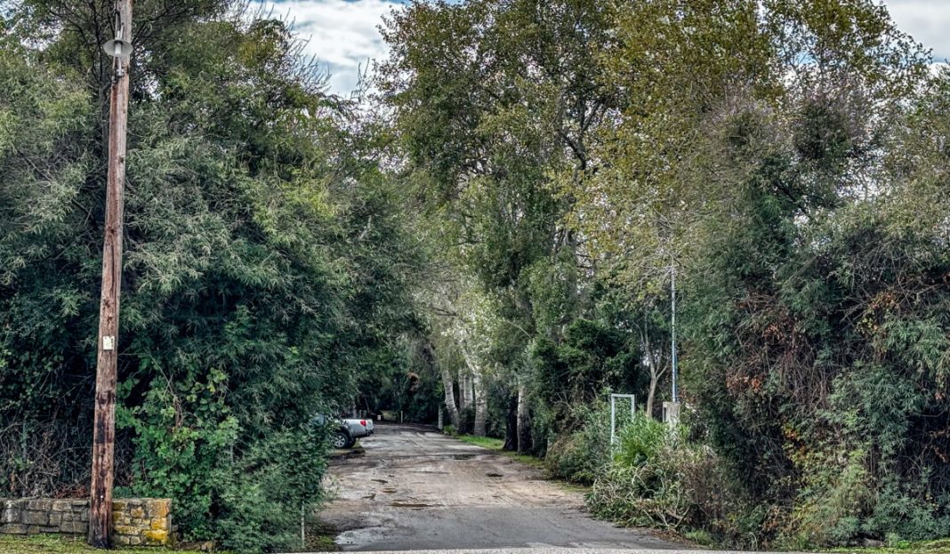 ΔΙΠΛΟ ΕΓΚΛΗΜΑ ΣΤΗ ΦΟΙΝΙΚΟΥΝΤΑ ΜΕΣΣΗΝΙΑΣ (ΧΡΗΣΤΟΣ ΣΤΡΑΤΟΥΛΑΚΟΣ/EUROKINISSI)