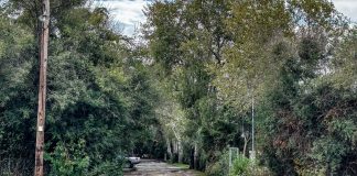 Νέα αποκάλυψη για τη Φοινικούντα: Η επαφή «θειούλης» στο κινητό που ανοίγει νέες έρευνες