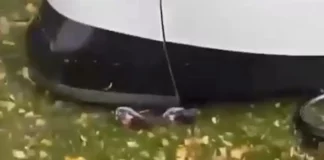 Γαλλία: 8χρονος εγκλωβίστηκε κάτω από τραμ και σώθηκε γιατί ήταν μικροκαμωμένος