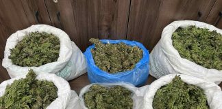 Συλλήψεις για ναρκωτικά στο Ρέθυμνο – Ανάμεσά τους δύο αδέλφια και ένας ανήλικος