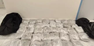 Καστοριά: Χειροπέδες σε τέσσερα άτομα που μετέφεραν σε ΙΧ 39 συσκευασίες κάνναβης βάρους… 42 κιλών!