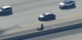 Καταδίωξη αλά Χόλιγουντ στις ΗΠΑ: Αστυνομικός εκτός υπηρεσίας πέταξε στον αέρα μηχανή – Ο αναβάτης της είχε σκοτώσει συνάδελφό του