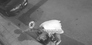 Λαμία: Η κάμερα την έπιασε να κλέβει τα φρεσκοφυτεμένα λουλούδια