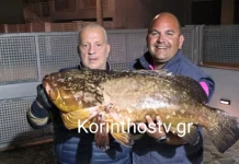 Ψάρεψαν ροφό-γίγα 20 κιλών στον Κορινθιακό