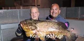 Ψάρεψαν ροφό-γίγα 20 κιλών στον Κορινθιακό