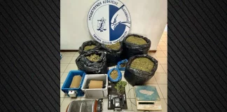 Σύλληψη στη Μεσσηνία για παραβίαση της άδειας για βιομηχανική κάνναβη – Θα έβγαζε 75.000 ευρώ