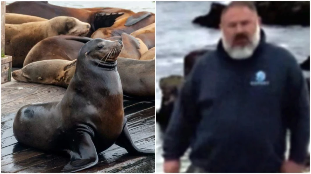 mixcollage-01-oct-2025-04-35-am-8842