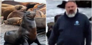 Καταζητείται άνδρας που αποκεφάλισε φώκια στην Καλιφόρνια