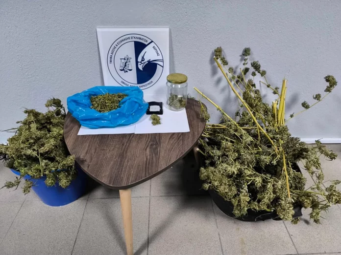 Συλλήψεις για ναρκωτικά σε περιοχές της Ημαθίας – Τρεις άνδρες στα χέρια της Αστυνομίας