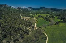 αρχείο λήψης (13)