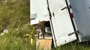 αρχείο λήψης