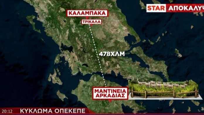 ΟΠΕΚΕΠΕ: Νέες κραυγαλέες περιπτώσεις- Κτηνοτρόφος από τα Τρίκαλα μίσθωνε βοσκοτόπι στην… Αρκαδία και από… νεκρό