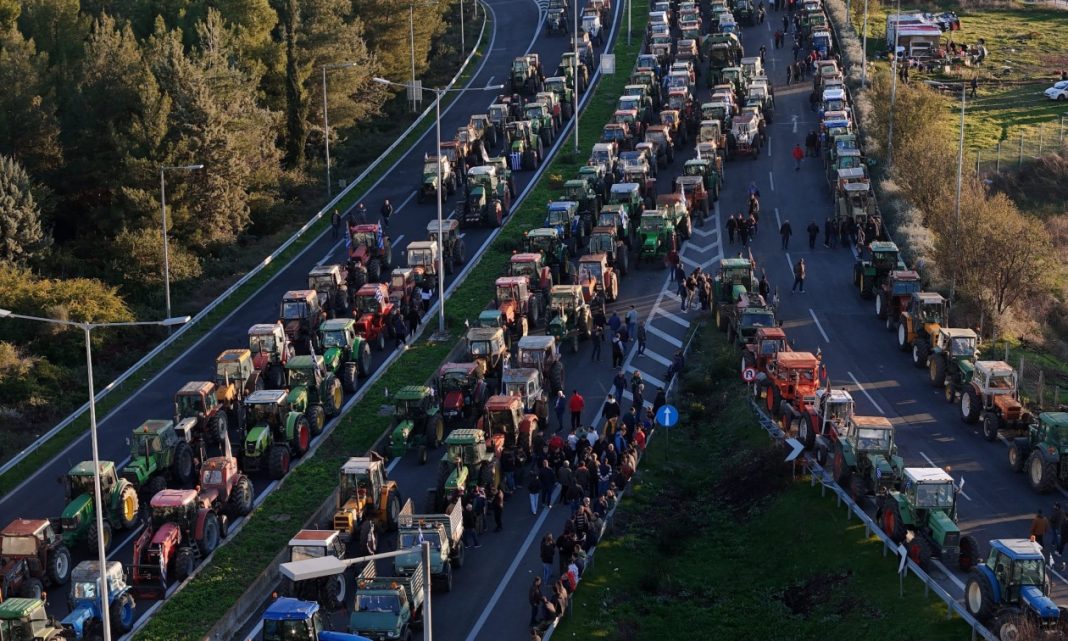 43322a26-1764521808615-993310887-agrotes