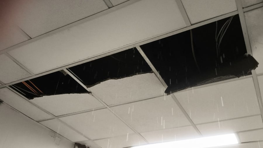 5afbe2c96adaecda428e4e6a39b1e17e_L