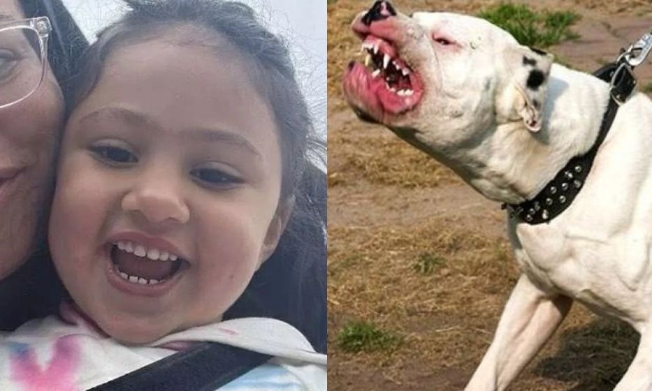 7986e930-epithesi-skylou