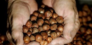 Γιατί η Nutella σταμάτησε τις αγορές φουντουκιού από την Τουρκία