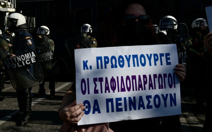 Αδιαφορία ΕΛΓΑ για τους πυρόπληκτους της Αιγιαλείας