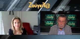 Διαψεύδει τα περί κόμματος η Καρυστιανού!