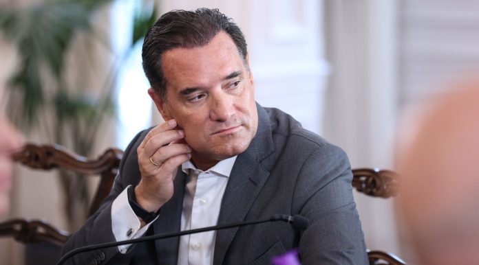 Γεωργιάδης: Δεν μου αρέσει η υποκρισία, αν η Καρυστιανού έχει πολιτικές φιλοδοξίες και θέλει να πολιτευτεί, να το κάνει