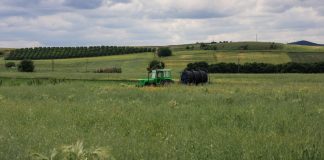 Οι αγρότες βγαίνουν στο δρόμο στην Ελλάδα – Το ευρωκοινοβούλιο αντιδρά για την μείωση των αγροτικών πόρων