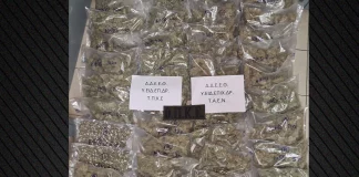 Συνελήφθησαν δύο άτομα που μετέφεραν ναρκωτικά με χειραποσκευή στη Θεσσαλονίκη