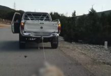 Φρίκη στη Βοιωτία: Έδεσε σκύλο και τον έσερνε με το αγροτικό