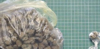 Συνελήφθησαν δύο αλλοδαποί για εμπορία ναρκωτικών