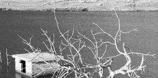 ΠΑΣΟΚ στο Μαξίμου: Σταματήστε να εργαλειοποιείτε την υπαρκτή κρίση της λειψυδρίας – Φέρετε ακέραια την ευθύνη