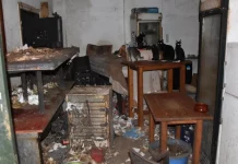 Τρία χρόνια στη φυλακή και χρηματική ποινή 3.000 ευρώ στον 63χρονο που βασάνιζε γάτες στη Δονούσα – Τα αγαπάω, είπε στη δίκη