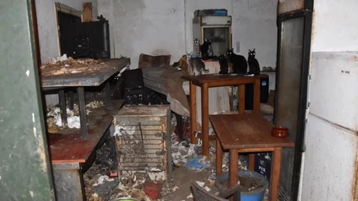 Τρία χρόνια στη φυλακή και χρηματική ποινή 3.000 ευρώ στον 63χρονο που βασάνιζε γάτες στη Δονούσα – Τα αγαπάω, είπε στη δίκη