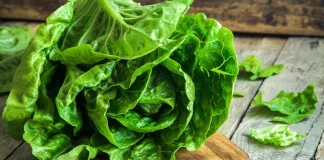 Ναρκωτικά αξίας εκατομμυρίων βρέθηκαν σε… μαρούλια στα σύνορα ΗΠΑ – Μεξικού