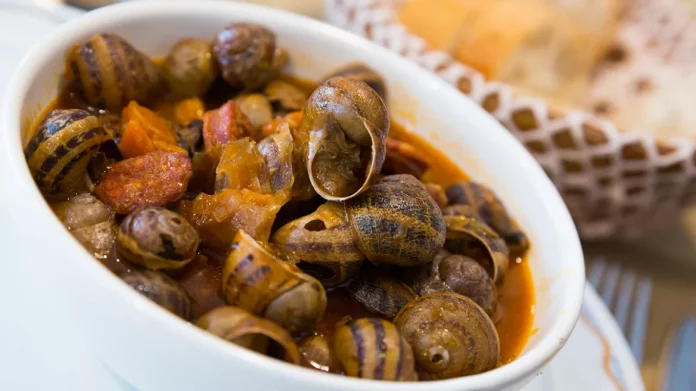 Έκλεψαν 450 κιλά σαλιγκάρια από οικογενειακή φάρμα στη Γαλλία – Η ζημιά ξεπερνά τα 100.000 δολάρια