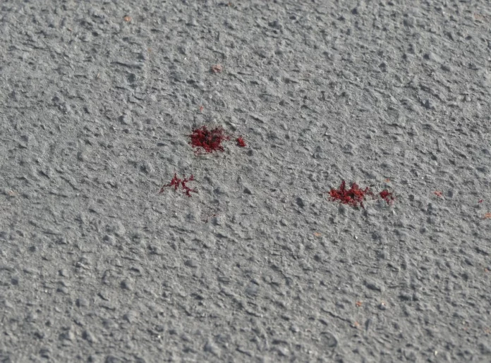 Πώς έγινε η φονική επίθεση κατά του 20χρονου στη Χαλκίδα – Συνεργός αλλοίωσε στοιχεία στον τόπο του εγκλήματος