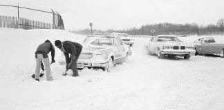 Σε «βαθιά κατάψυξη» οι ΗΠΑ: Χιονοθύελλα στο Μίσιγκαν, παγώνουν τα ιγκουάνα στη Φλόριντα