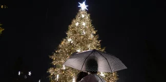 Η Αθήνα φόρεσε τα γιορτινά της, φωταγωγήθηκε το χριστουγεννιάτικο δέντρο στο Σύνταγμα – (VIDEO-ΦΩΤΟ)