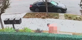 Λος Άντζελες: 79χρονος βετεράνος του Βιετνάμ σκότωσε γυμνό μανιακό ο οποίος του έσπασε και τα δύο πόδια (VIDEO)