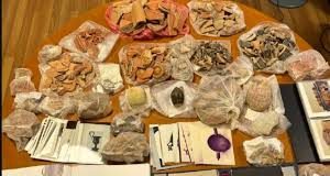 Κύκλωμα αρχαιοκαπήλων: Ο καθηγητής που πιάστηκε με πλήθος αρχαιοτήτων και η συνεργασία του με Βούλγαρο μεγιστάνα