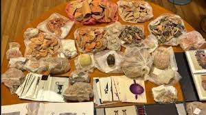 αρχείο λήψης (2)