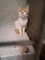 αρχείο λήψης (2)