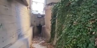 Ρέματα περνούν από τα θεμέλια πολυκατοικιών – «Καμπανάκι» των ειδικών ενόψει της κακοκαιρίας