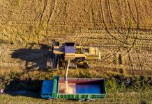 Σκάνδαλο ΟΠΕΚΕΠΕ: Ντόμινο εξελίξεων – Στο στόχαστρο των Αρχών εκατοντάδες άτομα