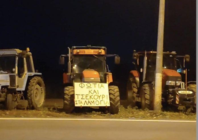 agrotes-lamogia-696x493