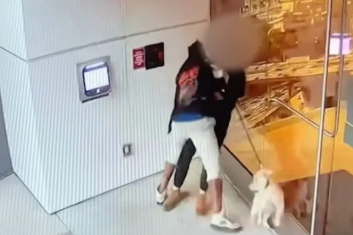 Τρόμος για γυναίκα στο Λος Άντζελες: Κάμερα κατέγραψε τη σεξουαλική επίθεση που δέχθηκε ενώ έβγαζε βόλτα τον σκύλο