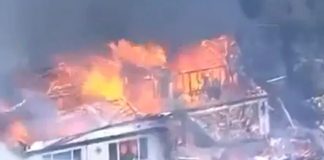 Αυστραλία: Δασικές πυρκαγιές κατέκαψαν σπίτια σε δύο πολιτείες – Σκοτώθηκε πυροσβέστης από πτώση δέντρου