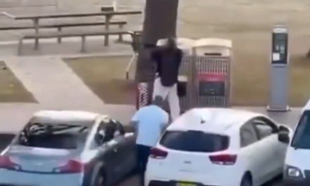 d4ba9f28-screenshot-517