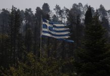 Η Εύβοια έπαθε… ΟΠΕΚΕΠΕ: Η Ευρωπαϊκή Εισαγγελία ψάχνει 6,5 εκατομμύρια ευρώ