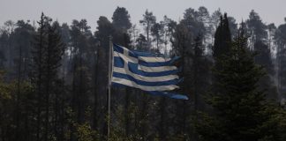 Η Εύβοια έπαθε… ΟΠΕΚΕΠΕ: Η Ευρωπαϊκή Εισαγγελία ψάχνει 6,5 εκατομμύρια ευρώ