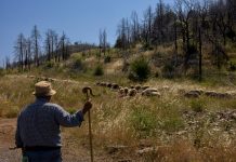 Βόρεια Εύβοια: Σκάνδαλο 6,5 εκατ. ευρώ αλά ΟΠΕΚΕΠΕ με ευρωπαϊκά κονδύλια τουρισμού