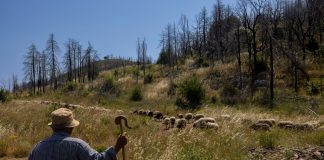 Βόρεια Εύβοια: Σκάνδαλο 6,5 εκατ. ευρώ αλά ΟΠΕΚΕΠΕ με ευρωπαϊκά κονδύλια τουρισμού