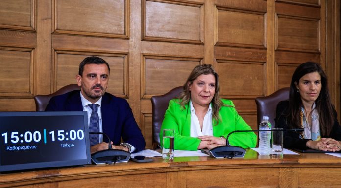 Η φωτογραφία που στέλνει τον Ανδρέα Νικολακόπουλο στο υπουργικό συμβούλιο…